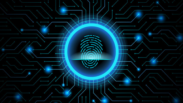 Dataq Software cybersecurity